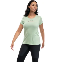Cheap Bergans Graphic Wool W Tee - Light Jade Green