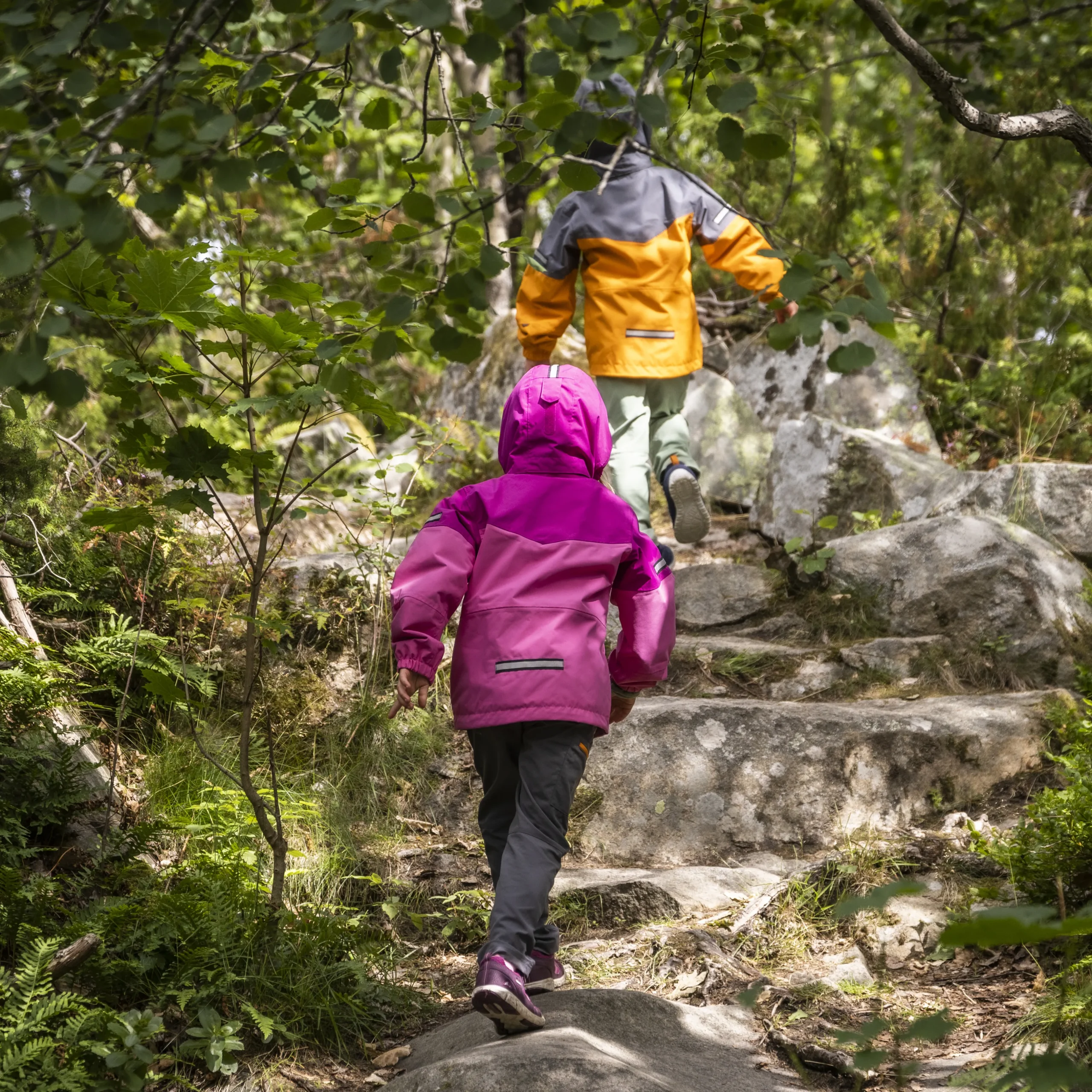 Cheap Bergans Lilletind Kids Jacket - Ibis Rose