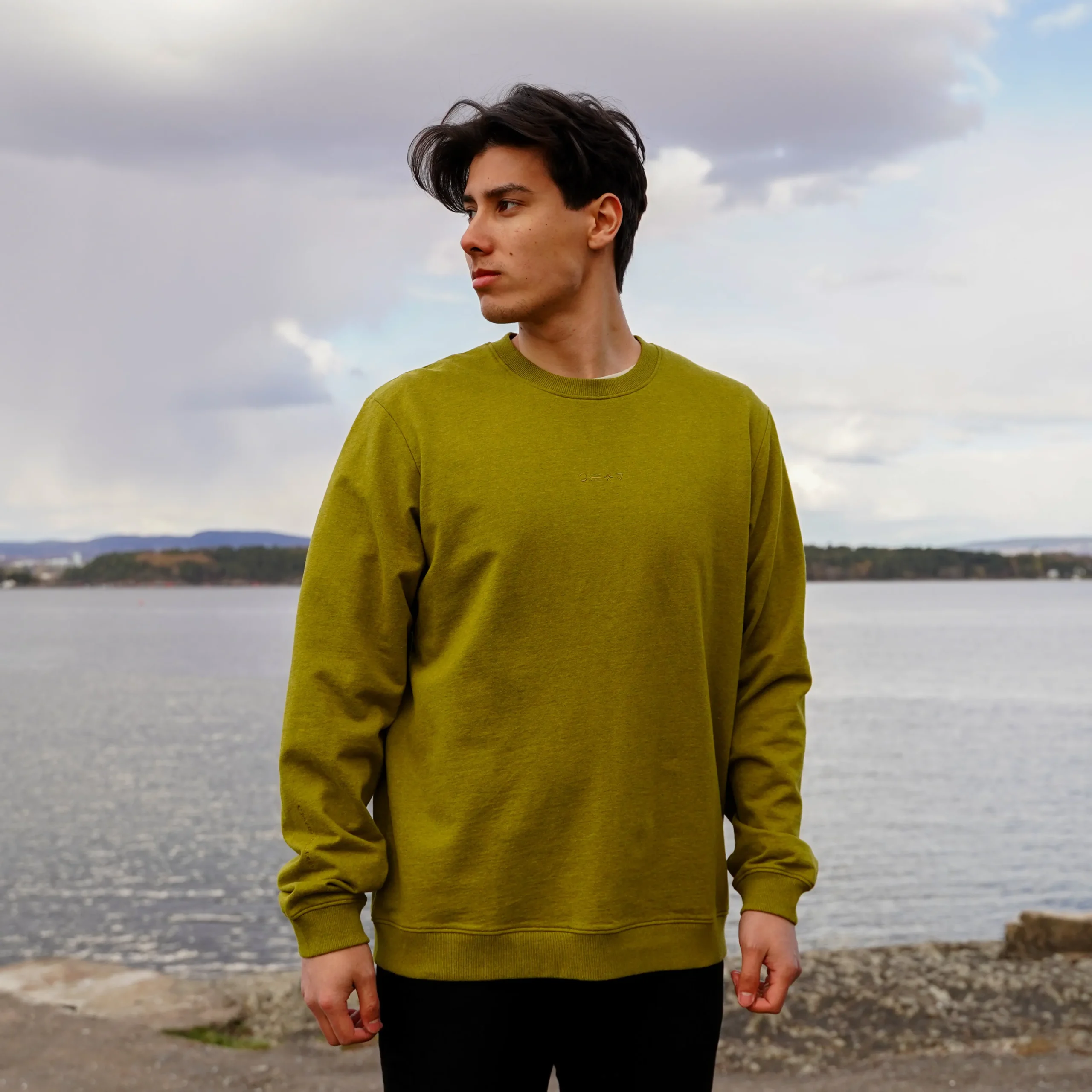 Shop Bergans Oslo Urban Comfy Sweater Unisex - Olive Green