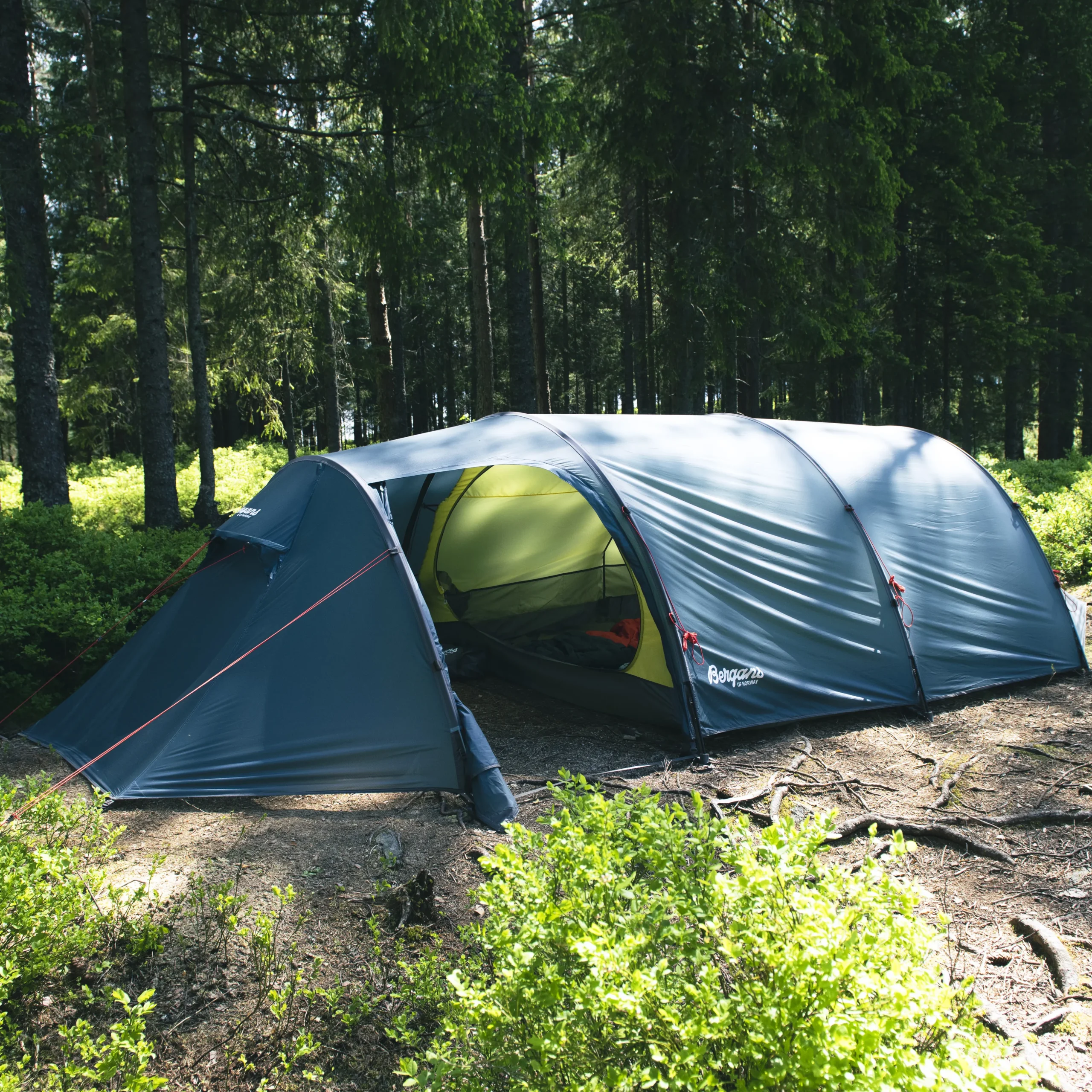 Discount Bergans Trollhetta Tunnel 4-Persons Tent -